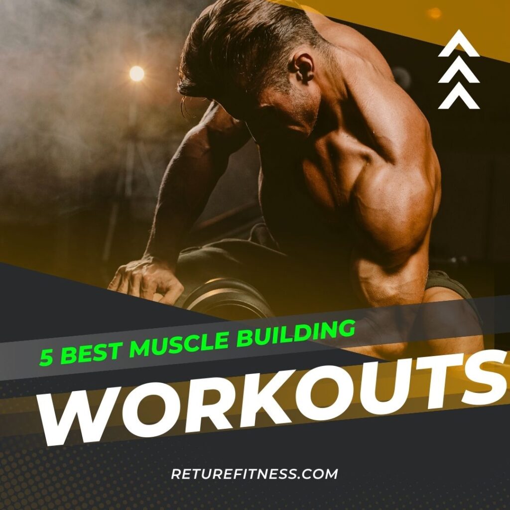 best legal supplements for muscle growth, best supplements for muscle growth, best supplements for muscle growth for woman, muscle building supplements, natural steroids for muscle growth