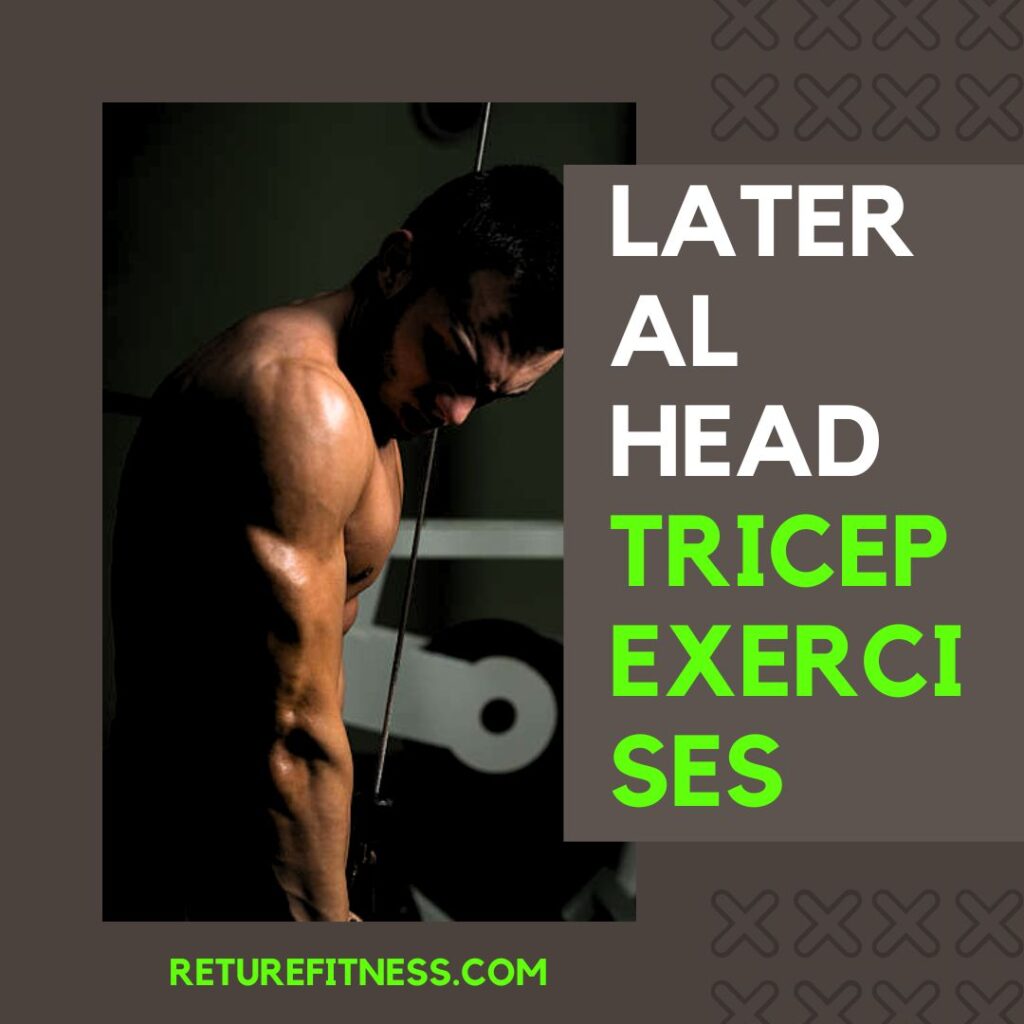 lateral head tricep exercises, Long head tricep exercises, Medial head tricep exercises, Lateral head tricep exercises at home, Lateral head tricep exercises for mass, Lateral head tricep exercises dumbbell, Lateral head tricep exercises Cable,