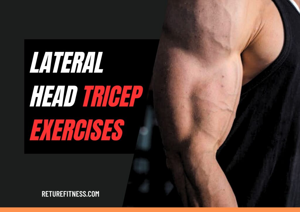 lateral head tricep exercises, Long head tricep exercises,
Medial head tricep exercises,
Lateral head tricep exercises at home,
Lateral head tricep exercises for mass,
Lateral head tricep exercises dumbbell,
Lateral head tricep exercises Cable,